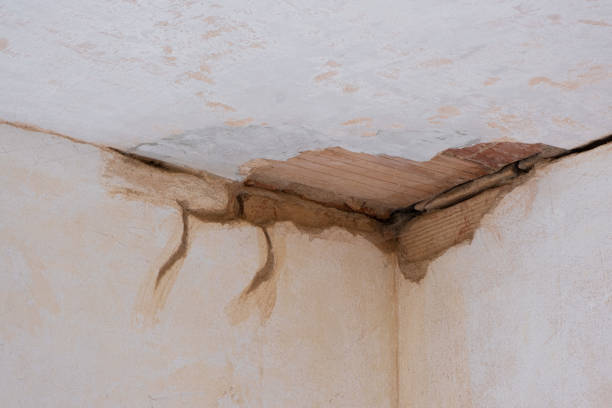 Best Flooded house restoration  in Waldo, AR