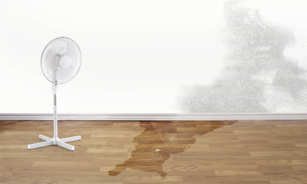 24/7 water damage repair in Waldo, AR